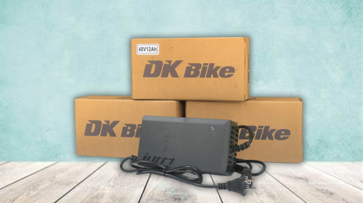 Bộ sạc xe đạp điện DKBike