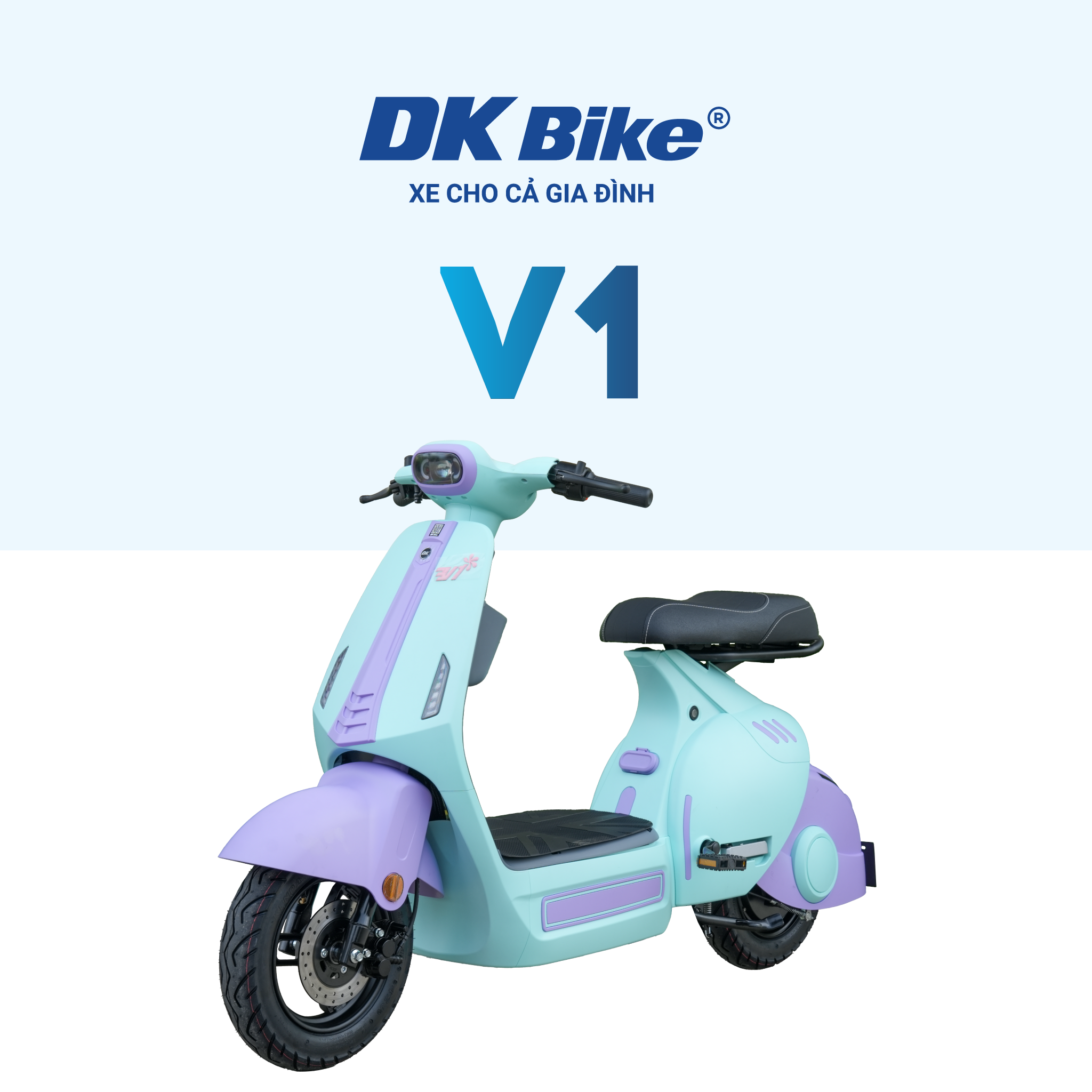 Xe điện DKBike V1