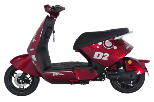 XE MÁY ĐIỆN DK D2