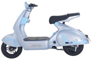 XE MÁY ĐIỆN DK V3